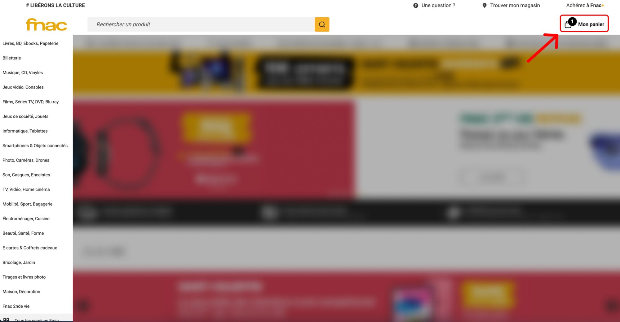 blog-en-shopping-online-tax-free-fnac-cart.jpg