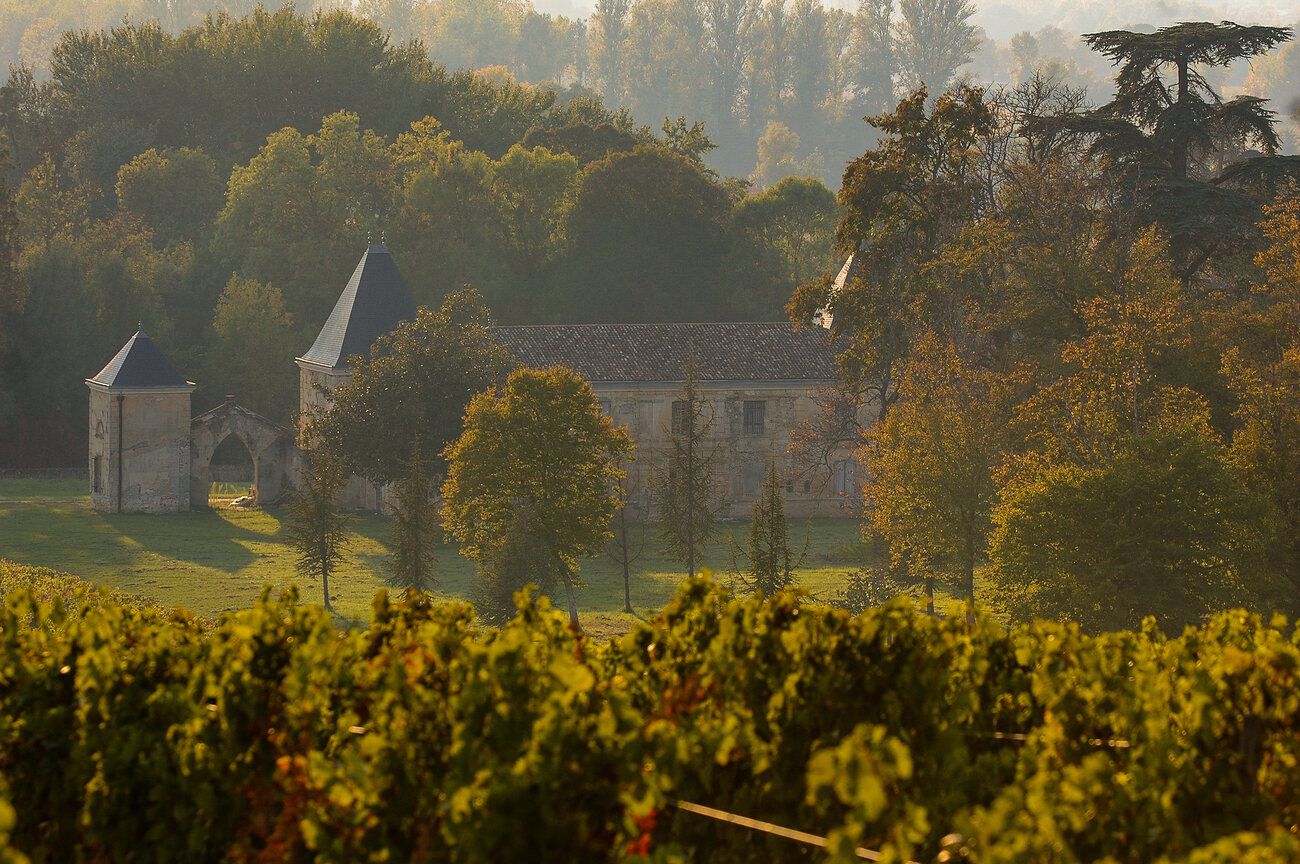 blog-fr-fronsac-vin-detaxe-zapptax.jpeg